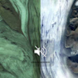 Meet your Posher, Alisondeana